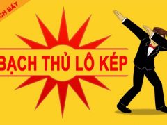 Bạch thủ lô kép là gì?
